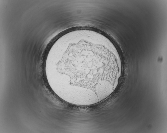 X0000111630975200908141339