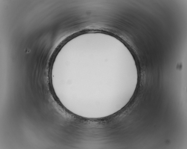 X0000111630976200908141339
