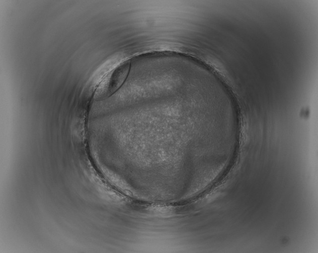 X0000111630977200908141339