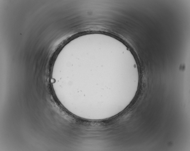 X0000111630979200908141339