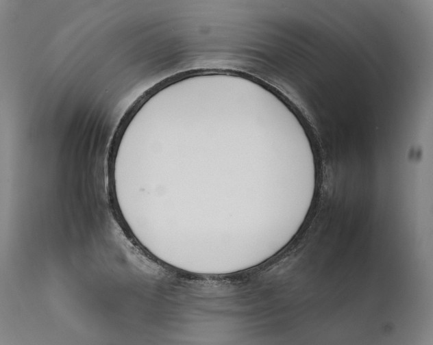 X0000111630980200908141339