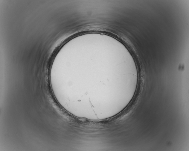 X0000111630981200908141339