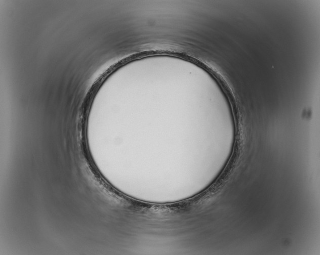 X0000111630983200908141339