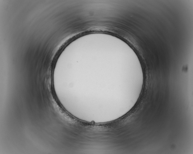 X0000111630984200908141339
