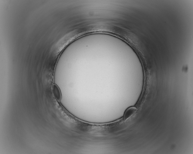 X0000111630985200908141339