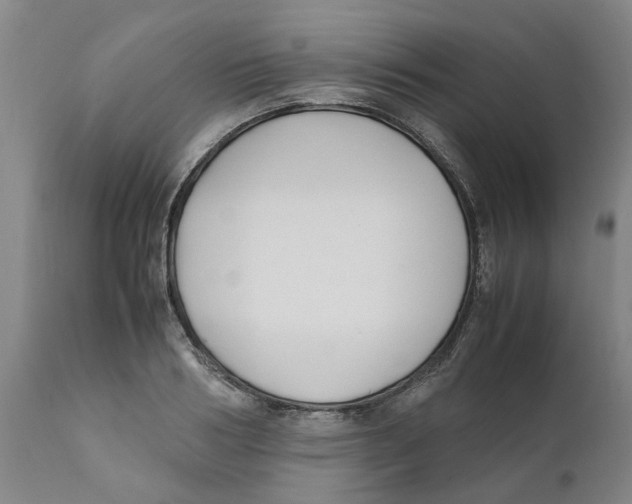 X0000111630986200908141339