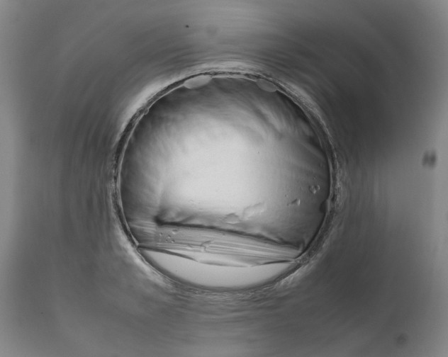 X0000111630989200908141339