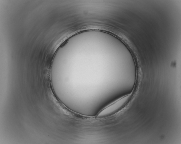 X0000111630993200908141339