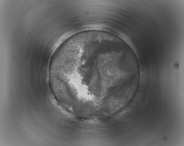 X0000111630994200908141339