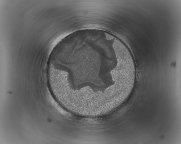 X0000111630995200908141339