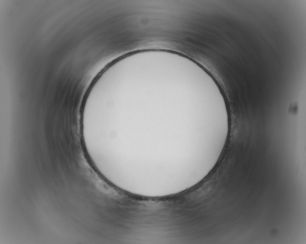 X0000111630996200908141339