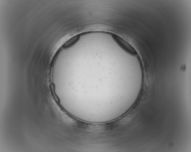 X0000111630997200908141339
