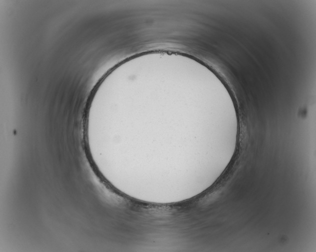X0000111630999200908141339
