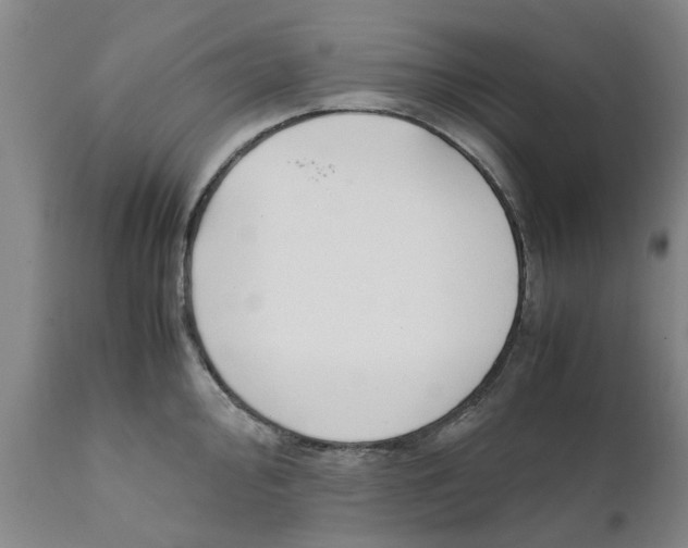 X0000111631000200908141339