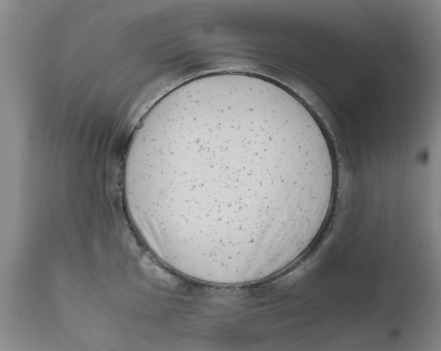 X0000111631001200908141339