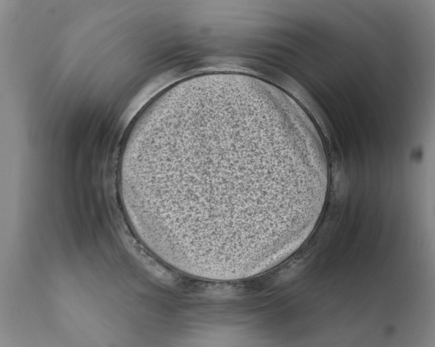 X0000111631002200908141339