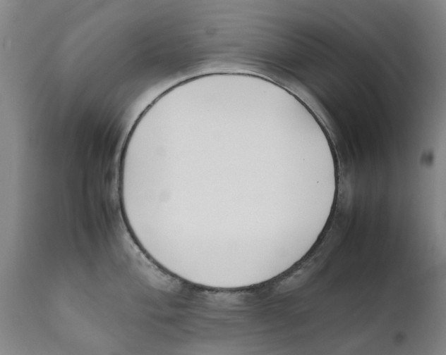 X0000111631004200908141339