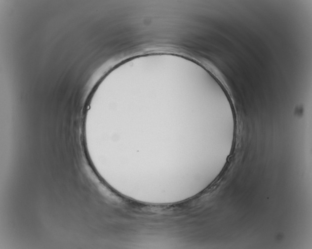 X0000111631005200908141339