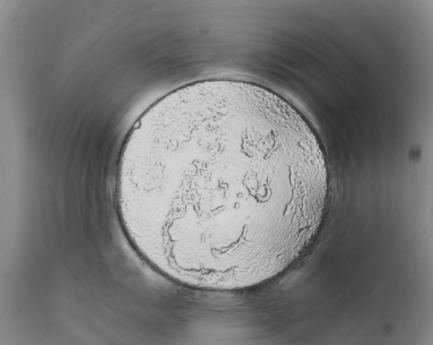 X0000111631007200908141339