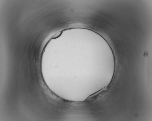 X0000111631008200908141338