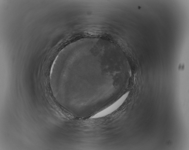 X0000111631009200908141338