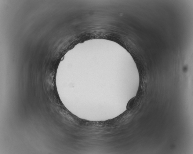 X0000111631010200908141338