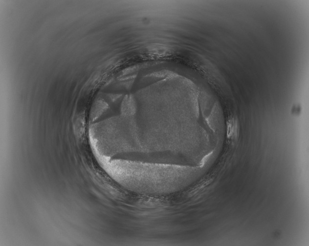X0000111631011200908141338