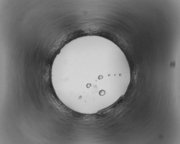 X0000111631012200908141338