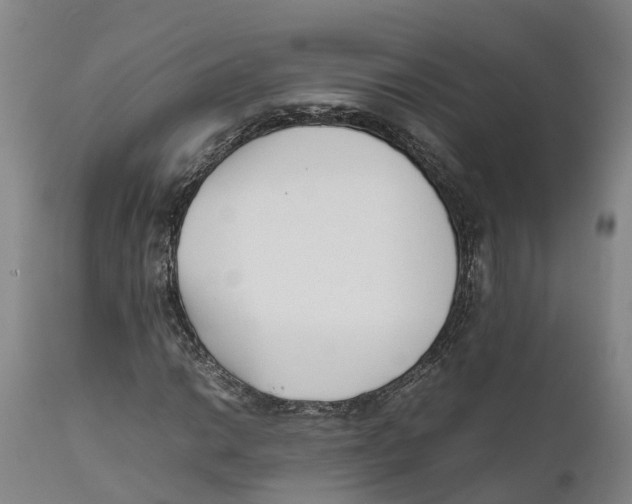 X0000111631014200908141338