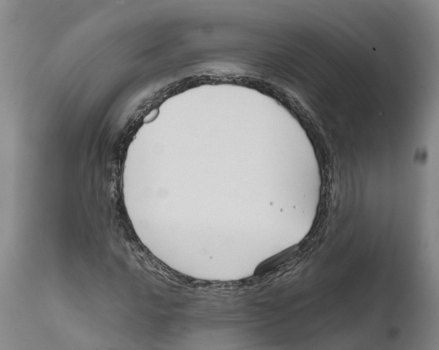 X0000111631016200908141338