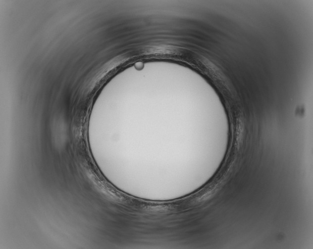 X0000111631017200908141338