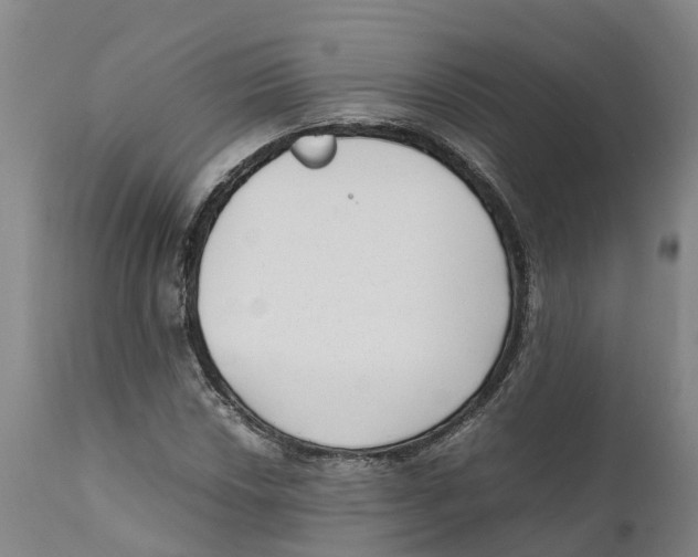 X0000111631018200908141338