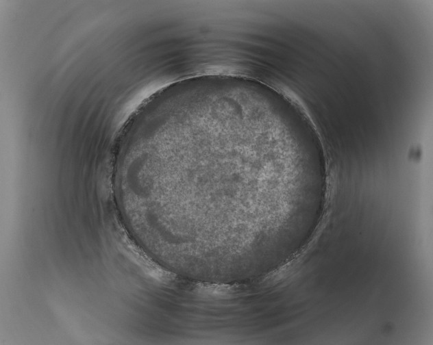 X0000111631019200908141338