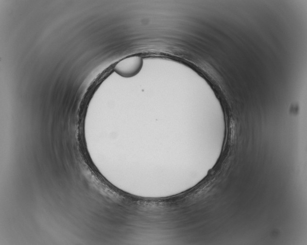 X0000111631020200908141338