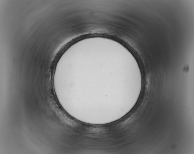 X0000111631021200908141338