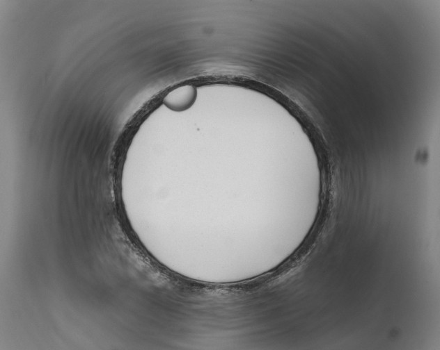 X0000111631022200908141338