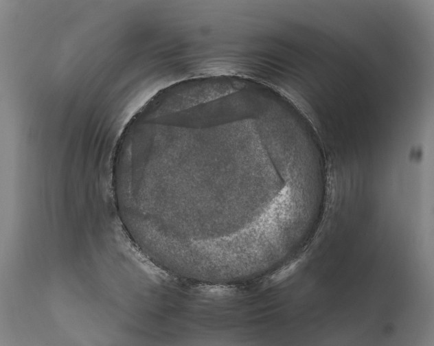X0000111631023200908141338