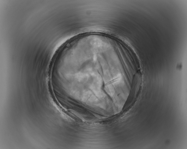 X0000111631024200908141338