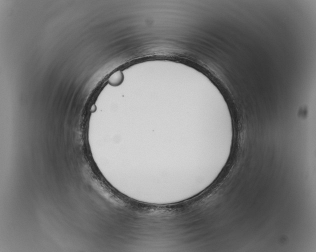 X0000111631026200908141338