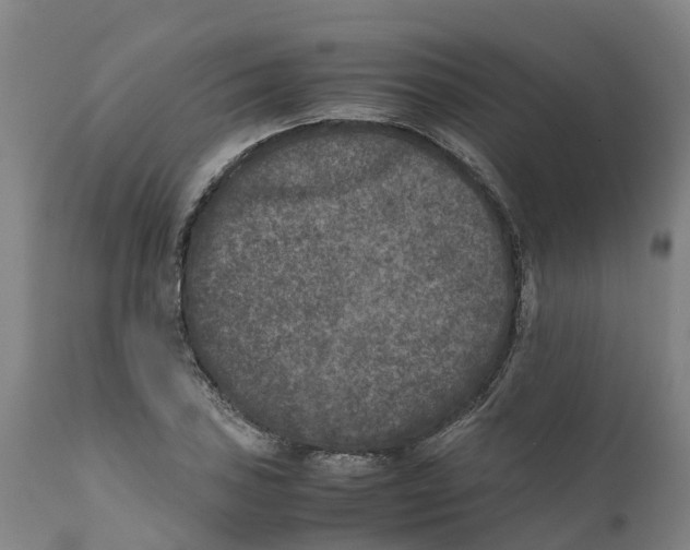 X0000111631027200908141338