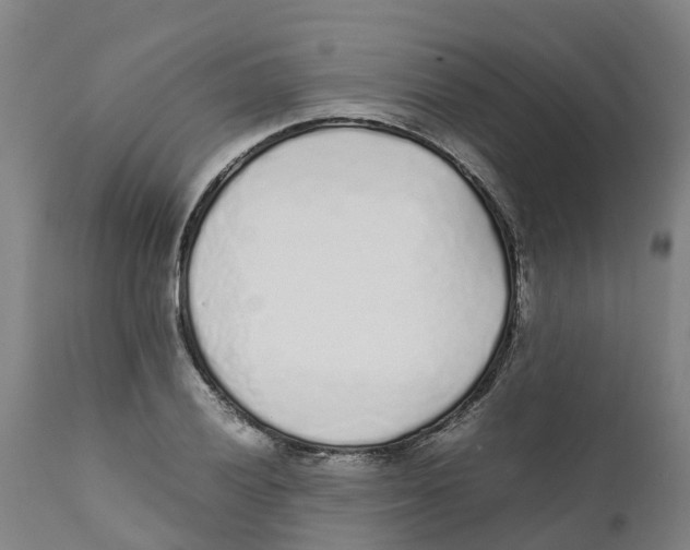 X0000111631028200908141338