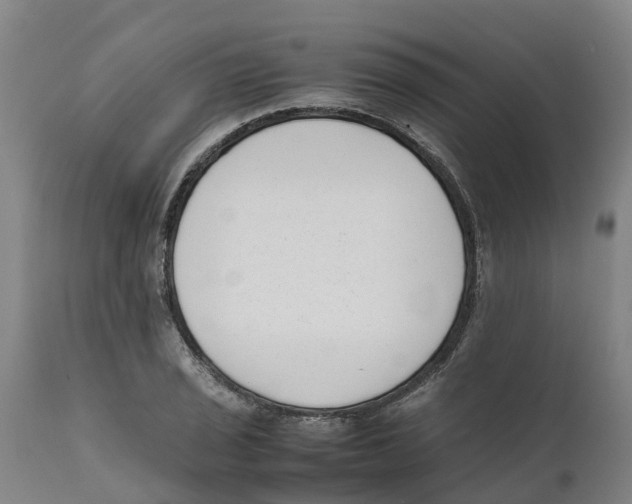 X0000111631029200908141338