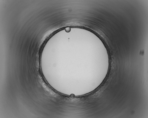 X0000111631030200908141338