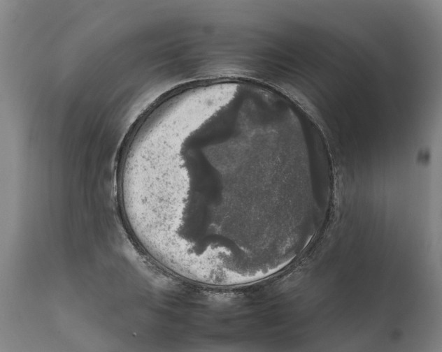 X0000111631031200908141338