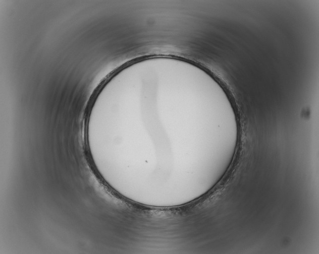 X0000111631032200908141338