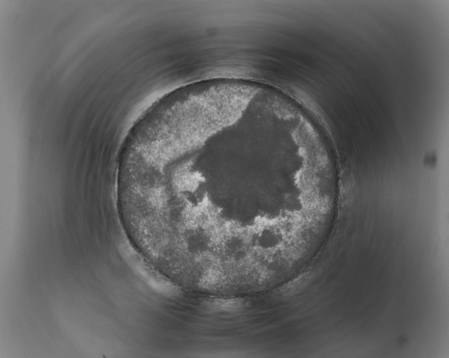 X0000111631035200908141338