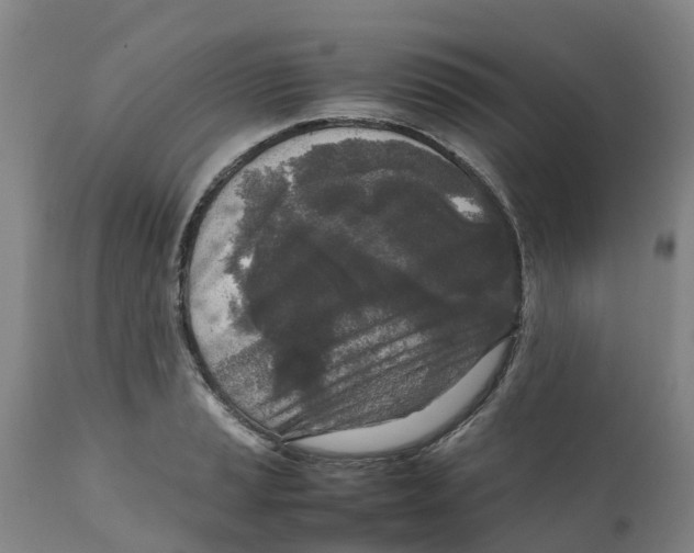 X0000111631037200908141338