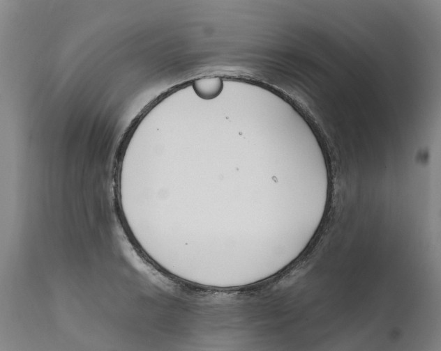 X0000111631038200908141338