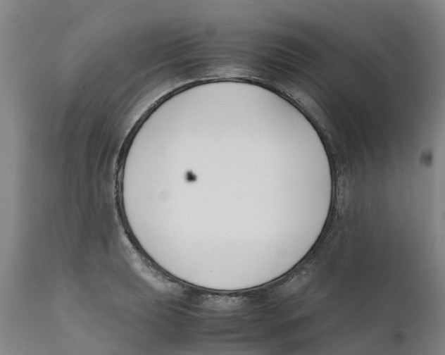 X0000111631039200908141338
