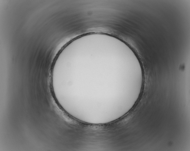 X0000111631040200908141338